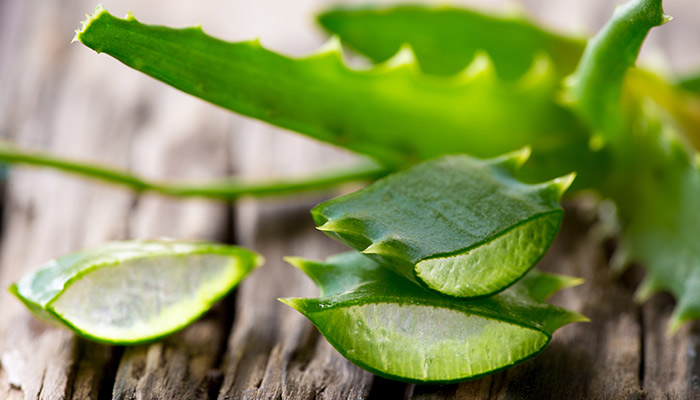 aloe vera benefits