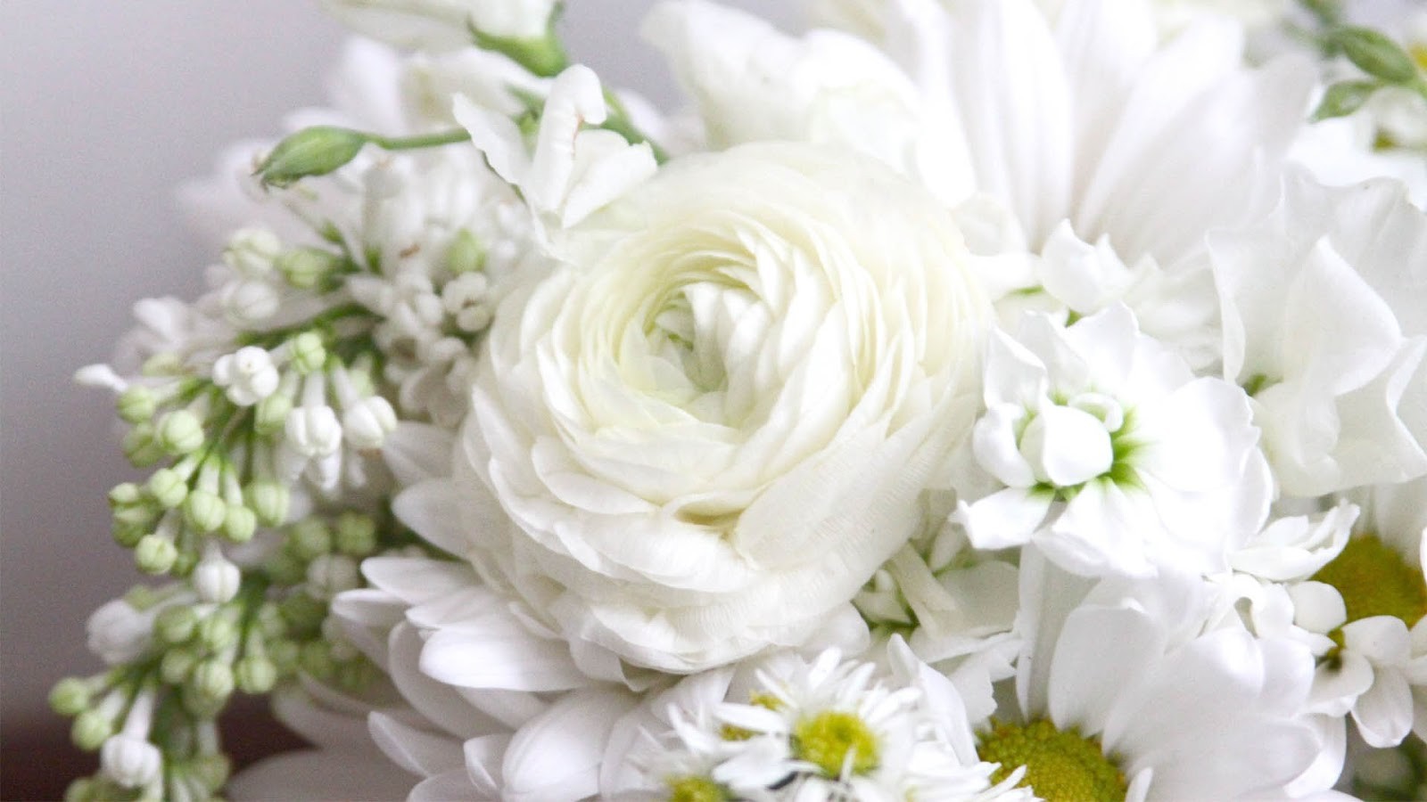 45 Most Beautiful White Flowers In The World That Are Amazing - Updated