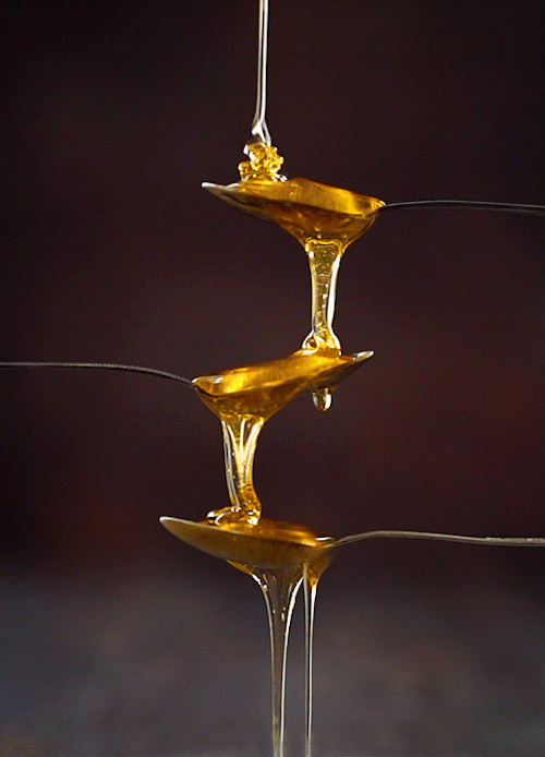 Top Best Brands Of Honey In India