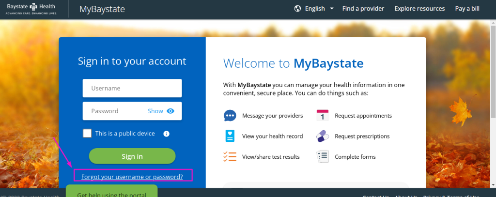 Mybaystatehealth Patient Portal