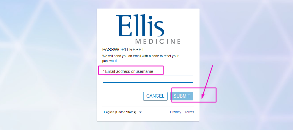 Ellis iCare Patient Portal
