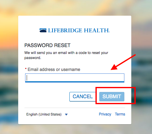 LifeBridge Health Patient Portal