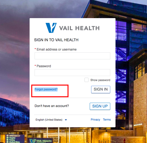 Vail Health Patient Portal