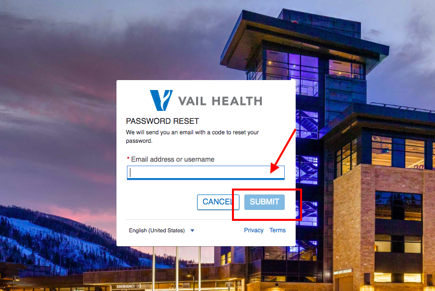 Vail Health Patient Portal