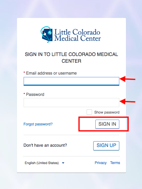 Little Colorado Medical Center Patient Portal