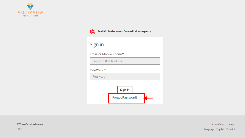 Valley View Medical Center Patient Portal