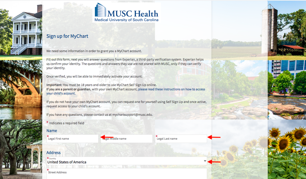 Musc Health Patient Portal