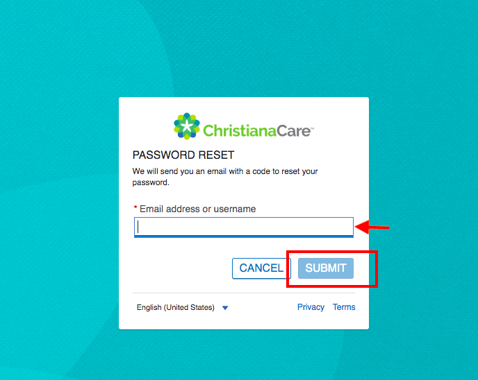 Christiana Hospital Patient Portal
