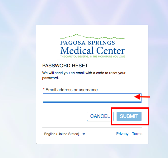 Pagosa Springs Medical Center Patient Portal