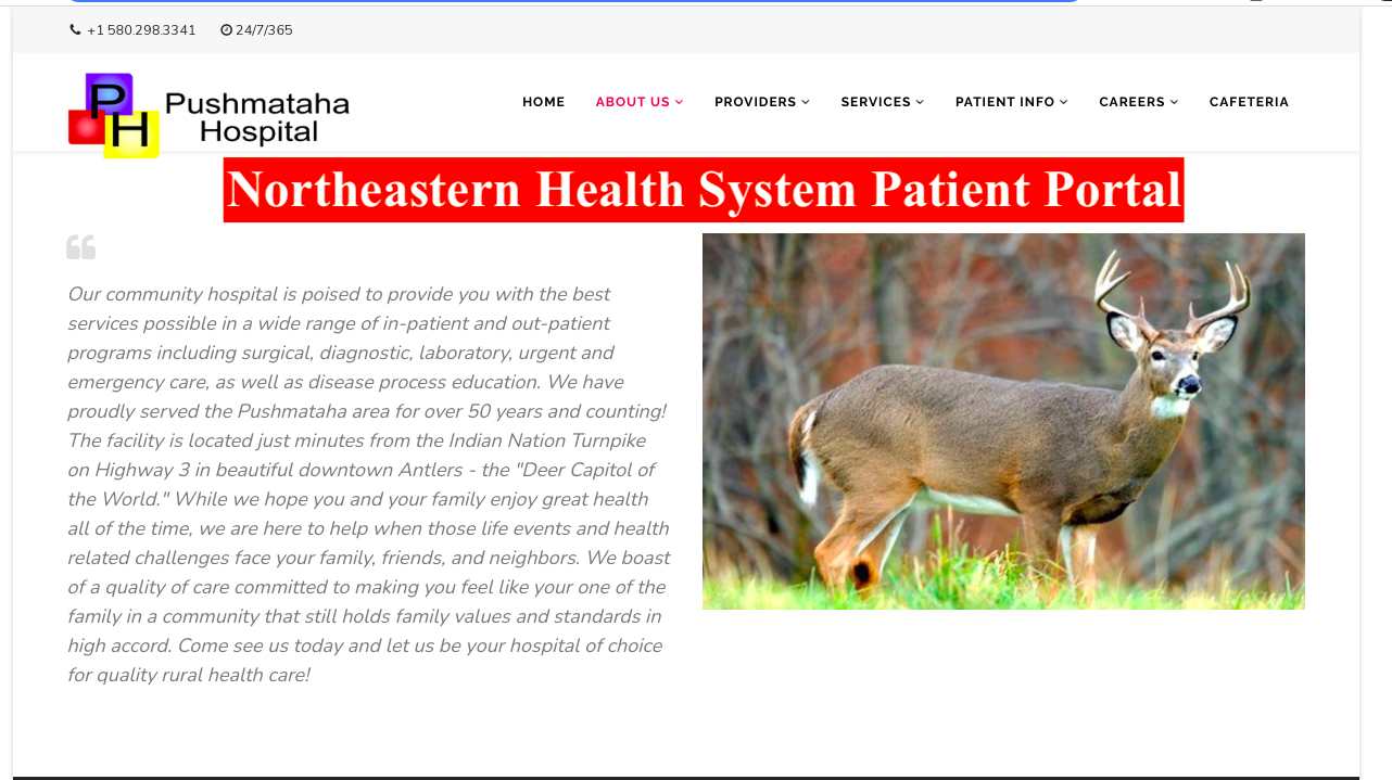 Northeastern Health System Patient Portal
