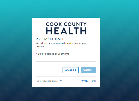 Reset Password Cook County Hospital Patient Portal 